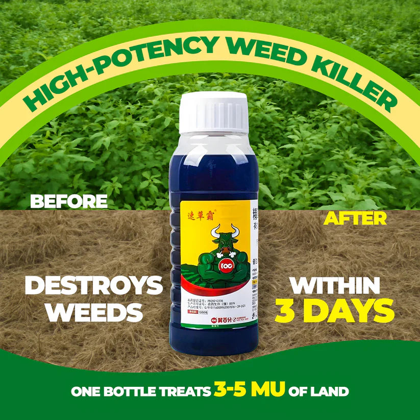 Glyphosate Herbicide with High-Concentration, Weed Killer with Ammonium Salt with Spray (🔥BUY 1 GET 1 FREE🔥)