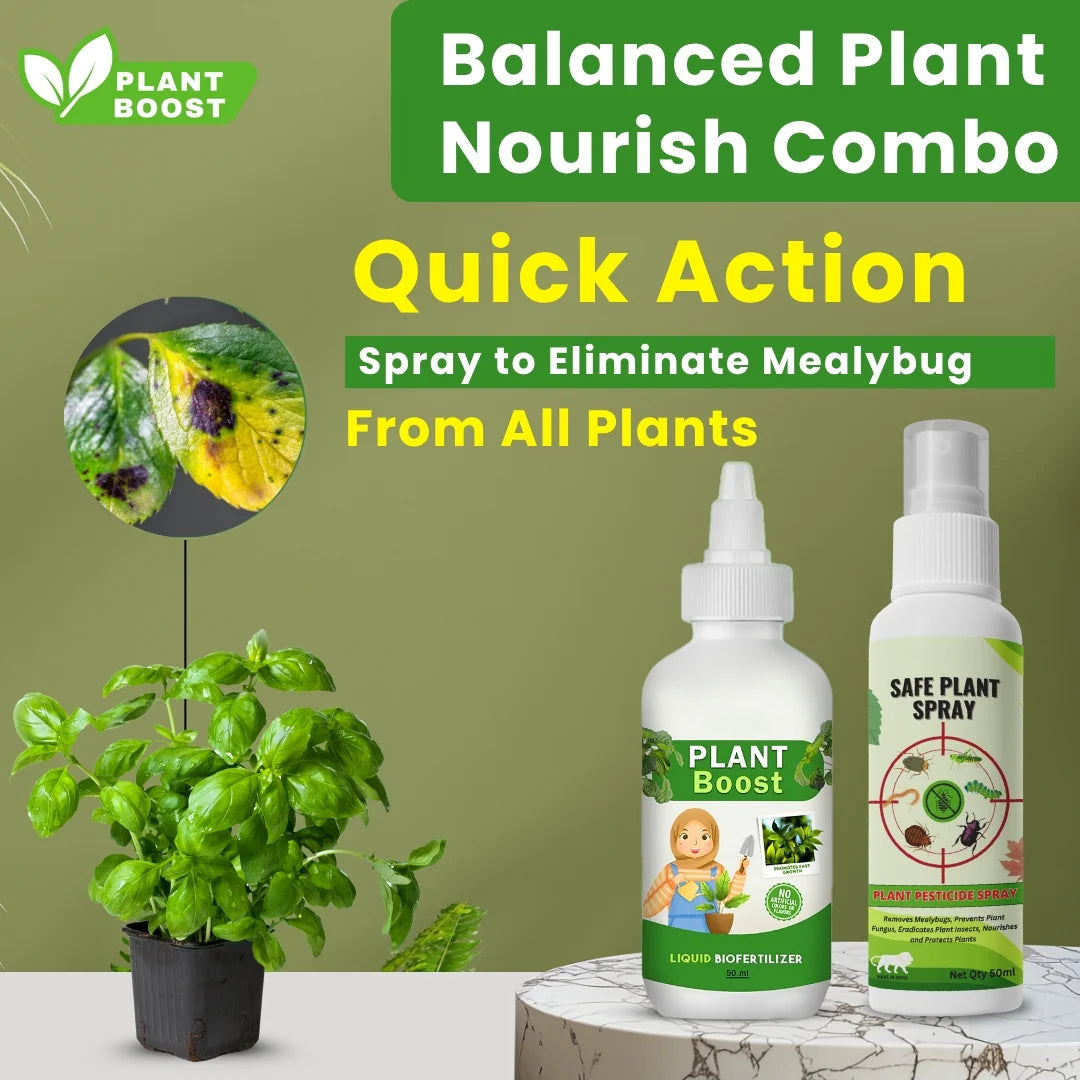 Natural Plant Care Combo - Plant Boost with Safe Plant Sprays
