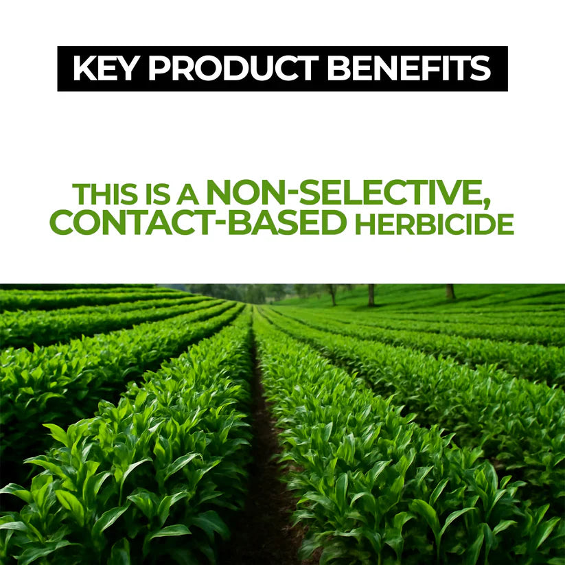 Glyphosate Herbicide with High-Concentration, Weed Killer with Ammonium Salt with Spray (🔥BUY 1 GET 1 FREE🔥)